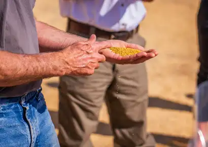 The Importance of Quality in Agricultural Products