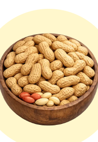 Groundnut