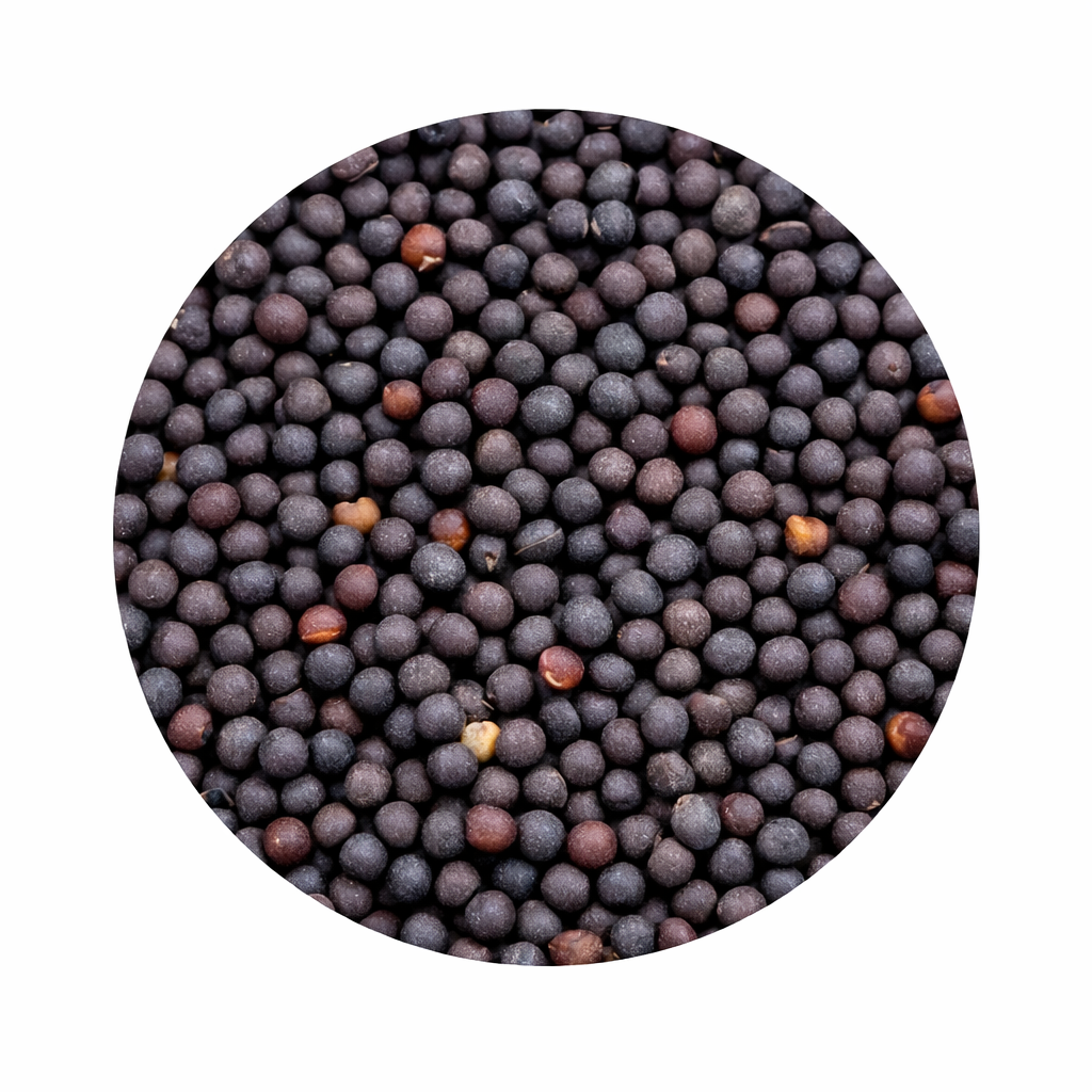 Black mustard 